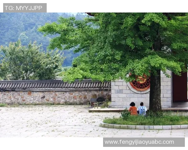 武汉网球队在联合会杯中的拼搏历程与荣耀时刻全景回顾