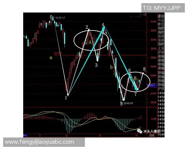 南京排球队的包夹战术深度解析与实战应用探讨